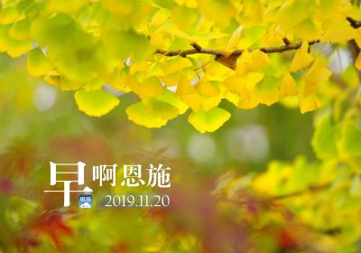 早啊！恩施（2019.11.20）