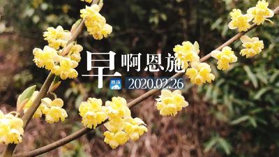 早啊！恩施（2020.02.26）