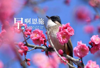 早啊！恩施（2020.02.17）