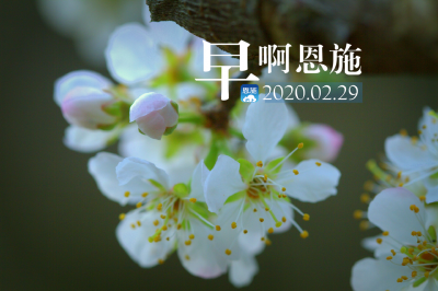 早啊！恩施（2020.02.29）