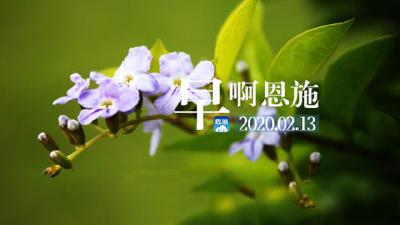 早啊！恩施（2020.02.13）