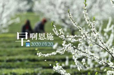 早啊！恩施（2020.03.20）