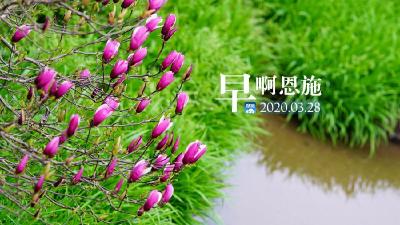 早啊！恩施（2020.03.28）