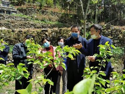 张在勇调研联系贫困村复工复产工作