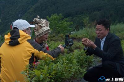 来凤：县长直播“带货” 助力来凤特色产品热销
