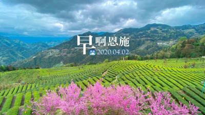 AI主播播报 | 早啊！恩施（2020.04.02）