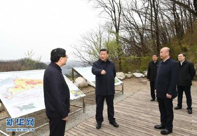 习近平在陕西考察时强调 扎实做好“六稳”工作落实“六保”任务 奋力谱写陕西新时代追赶超越新篇章