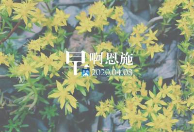 AI主播播报 | 早啊！恩施（2020.04.08）