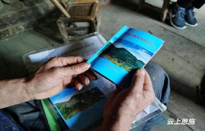 宣恩县椿木营乡：绿意染荒山
