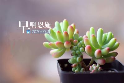 早啊！恩施（2020.05.01）