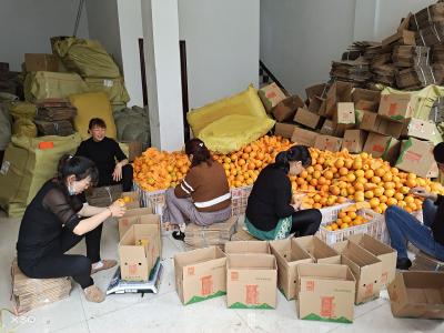 两公司联手做