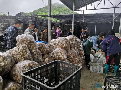 宣恩：农特产品步入绿色消费通道