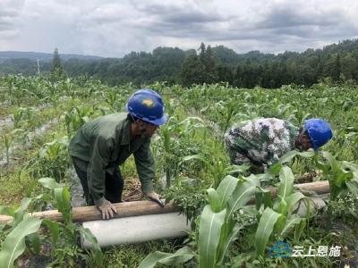 利川：大风吹断13根电线杆 工人紧急抢修保供电 