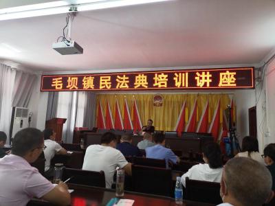 利川市毛坝镇掀起学习民法典热潮