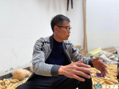 利川这位村书记设法让颗粒归仓，每亩可＂捡＂回一个月口粮 