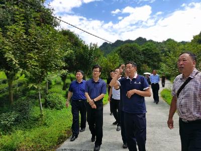 陈学明带队开展全州巩固脱贫成果推进乡村振兴战略实施情况、污水处理工作情况视察