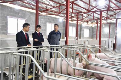 一份不起诉决定书背后的检察温度
