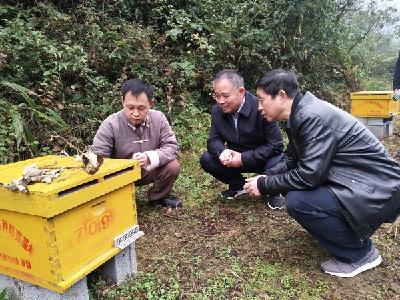 湖北省人大民宗侨外委员会陈金刚一行 来我州开展民族团结进步荆楚行活动调研督办