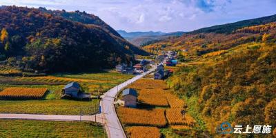 组图 | 巴东12乡镇晒秋景，一眼就醉！ 