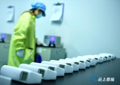 宣恩：做好服务企业“文章” 当好服务企业“店小二” 