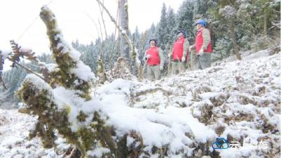 “雪”战到底 600余人踏雪巡线保供电 