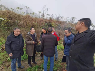 联调联防化积案