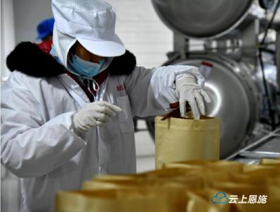 宣恩：扶贫蜜薯包装忙