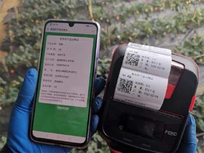 扫描二维码：我的身世你知道——恩施州探索试行食用农产品合格证 