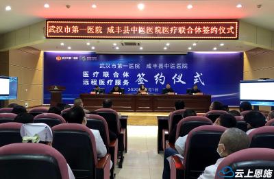 武汉市第一医院与咸丰县中医医院医联体正式成立