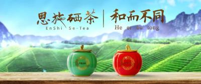 茶科普|3分钟教你辨识和品鉴“恩施玉露”“利川红”！