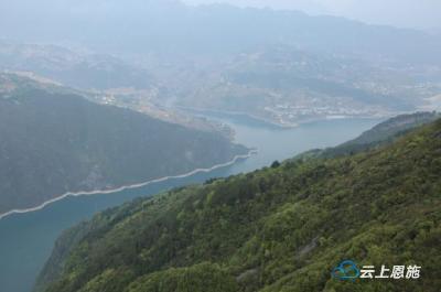巴东长江两岸造林绿化38095亩 顺利通过省级验收