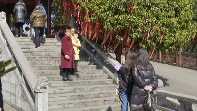 来凤：春节天气晴好撑“热”景区 