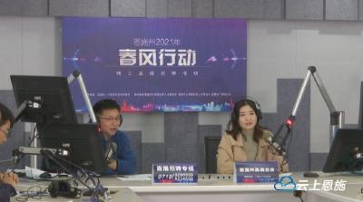 恩施州举办2021年“春风行动”线上直播招聘活动第二场 