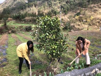 恩施市工商联：植树添绿正当时