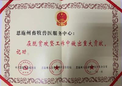 喜报 | 我中心及工作人员获恩施州脱贫攻坚记功奖励