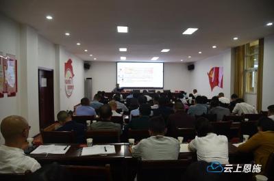 党史学习教育州委宣讲团到宣恩县李家河镇作专题宣讲 