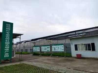 减污降碳 加快恩施市绿色发展 