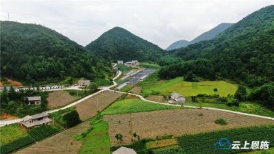 建始照京坪：红色沃土培育绿色产业 