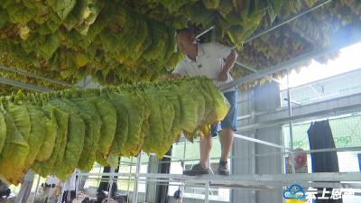 立即打开 来凤旧司：大户带小户 “双薪”共致富