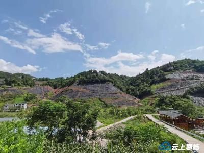 枝茂巢暖雁归来——巴东沿渡河镇党员“店小二”跑活营商环境