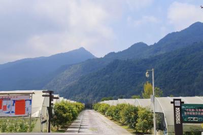 咸丰：办实事兴乡村 | 法润乡土③ 民法典走进马倌屯村