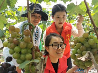 鹤峰：“人才数据库”让乡土人才“动”起来