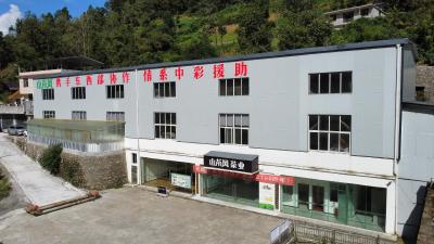 【我为群众办实事】恩施：茶厂落户助茶农稳步增收
