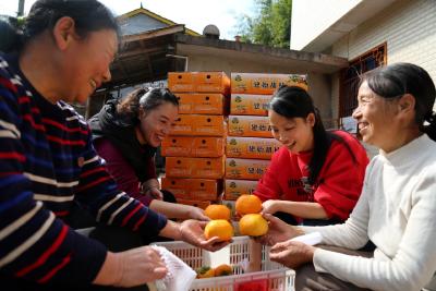 建始县电商助力“土味”农产品“云端”销售 