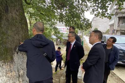 利川：​​​流动听证室，让听证“说听就能听”