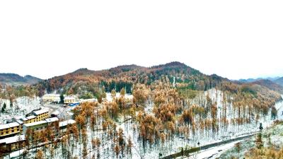 组图 | 建始：初雪落山间 彩林披雪衣