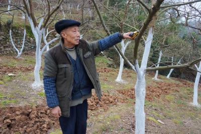 建始“状元户”谭启祥：致力“甜蜜产业” 带动村民共同致富奔小康