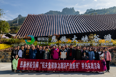 州经信局开展“机关党建助力旅游产业振兴”活动