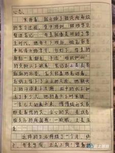 感动！13岁女孩写作文为“5号”点赞……母亲朋友圈这样回应