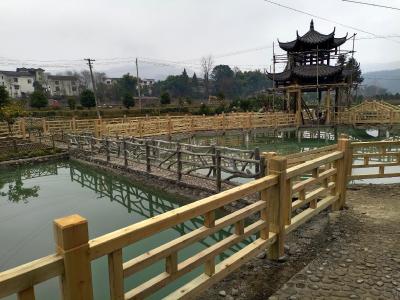 恩施市：加快推进生态振兴 让农村美乡亲富